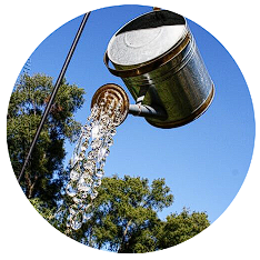 A Watering Can That Pours Crystals